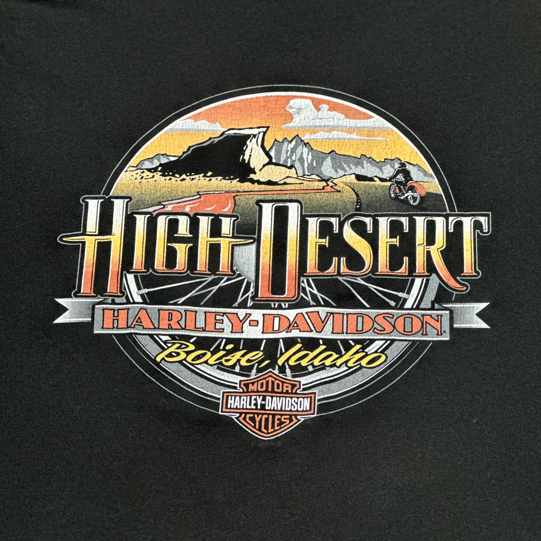 2007 Harley Davidson High Desert