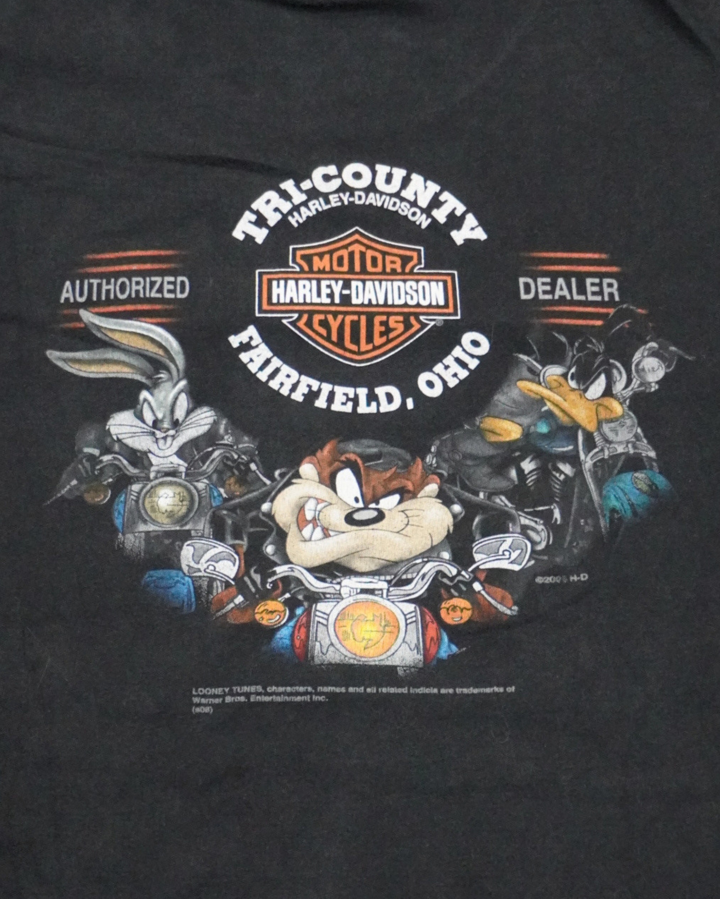 2009 Harley Davidson x Looney Toons Tri-county