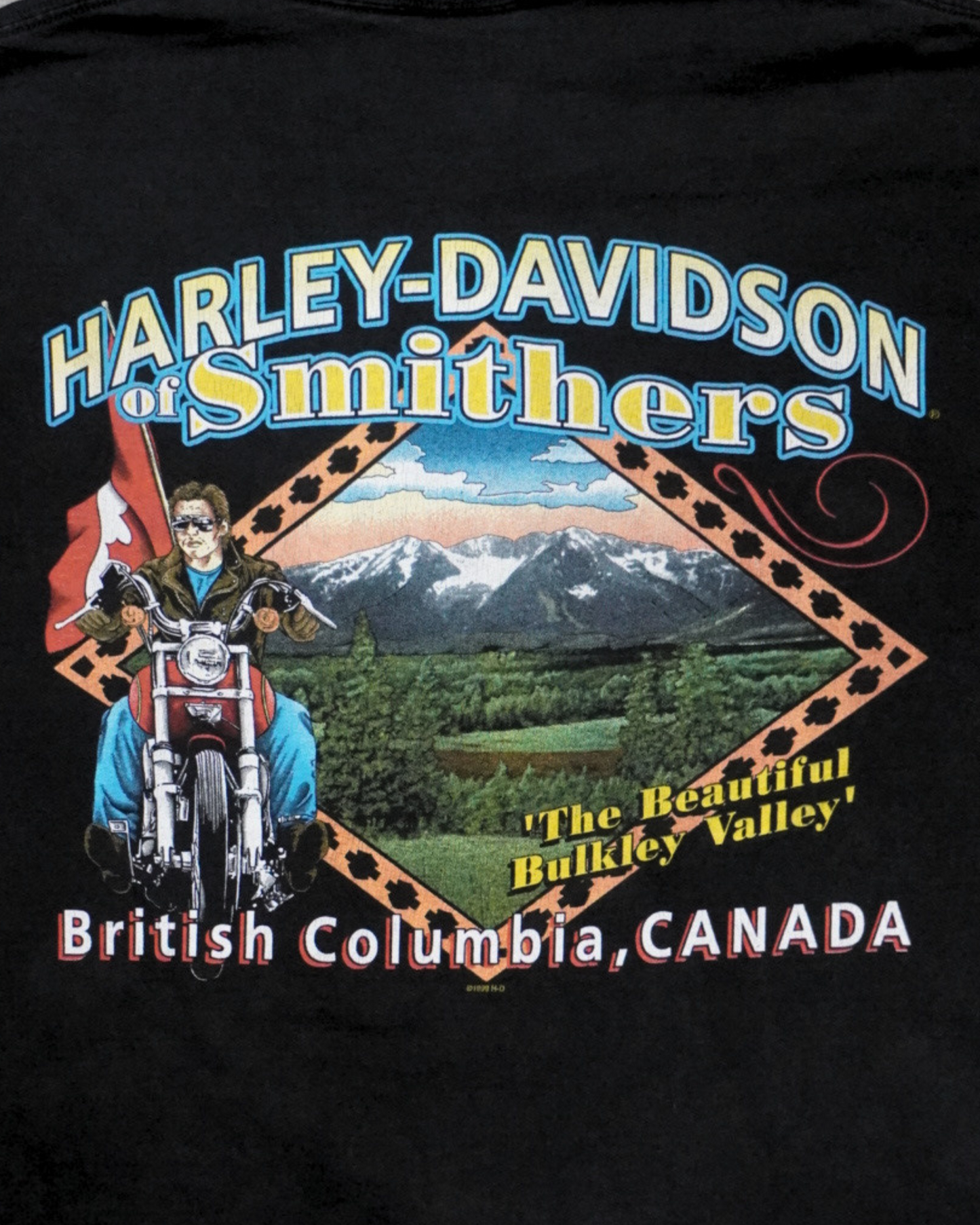 1999 Harley Davidson of Smithers