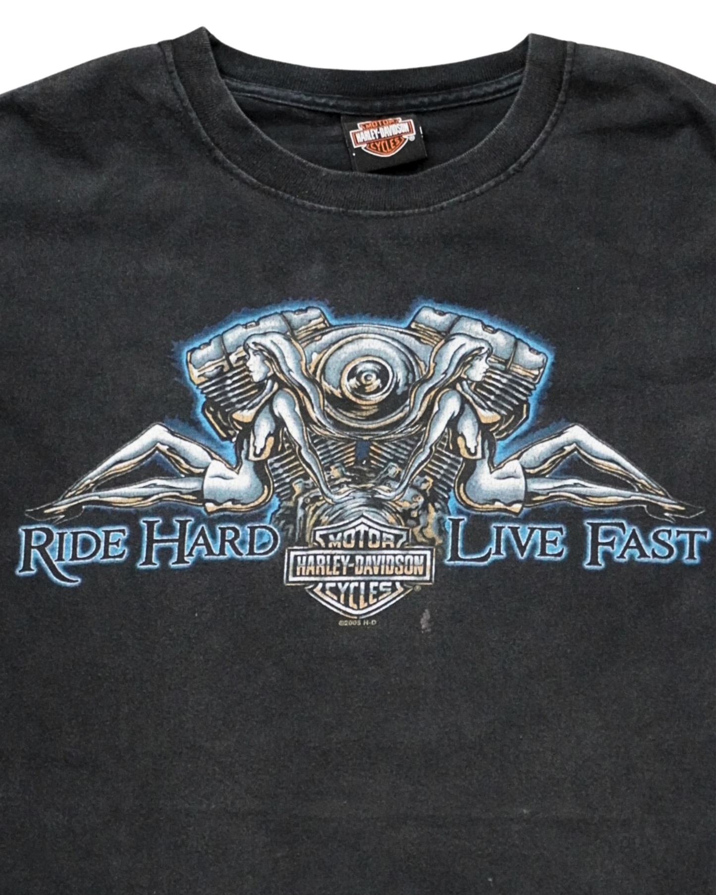 2005 Harley Davidson Ride Hard Live Fast