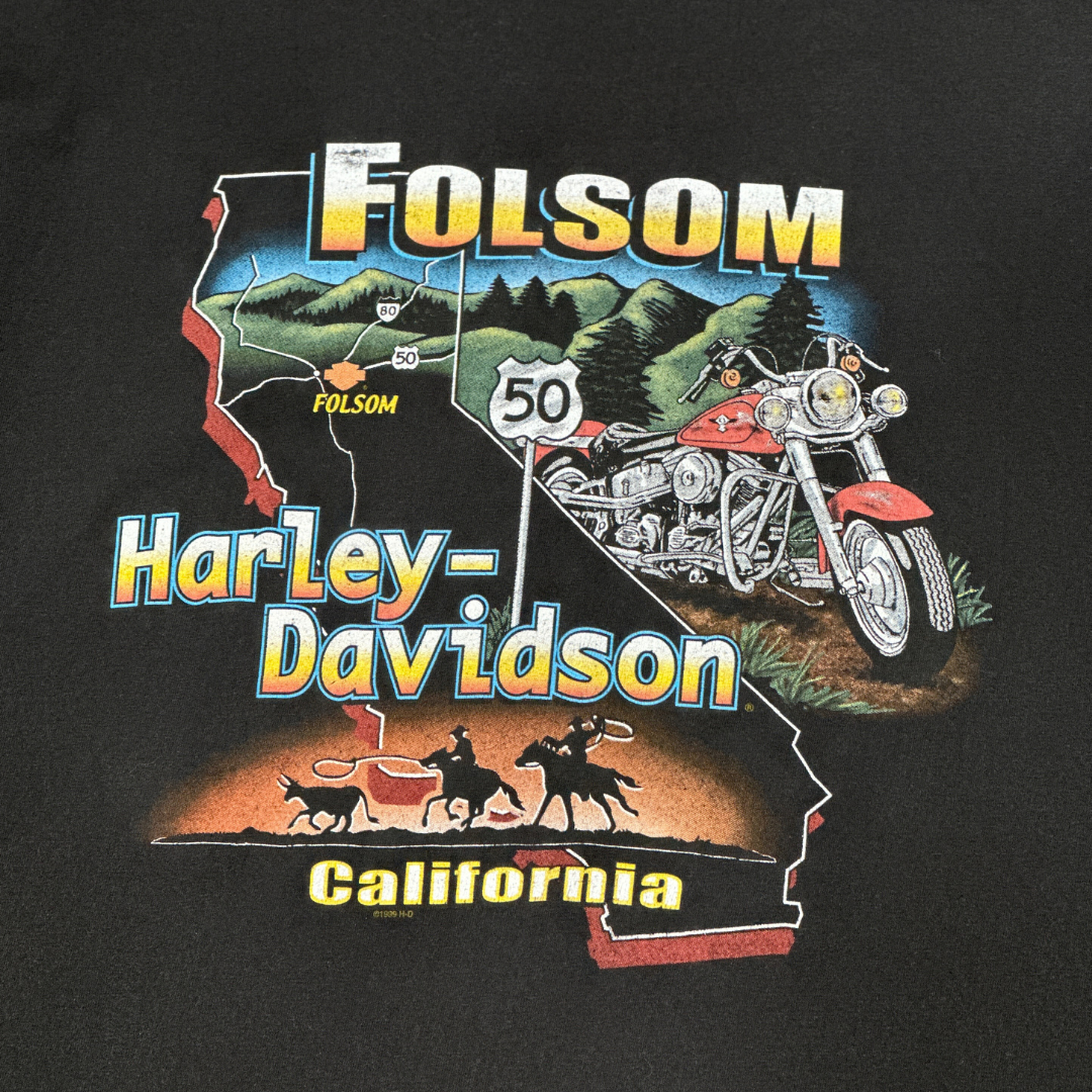 2001 Harley Davidson Folsom