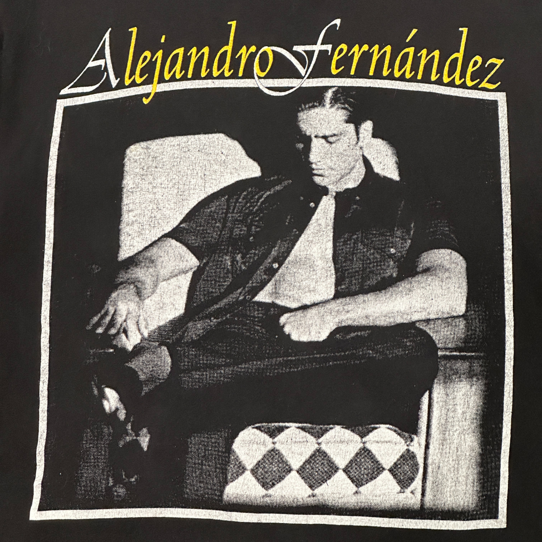 ALEJANDRO FERNANDEZ