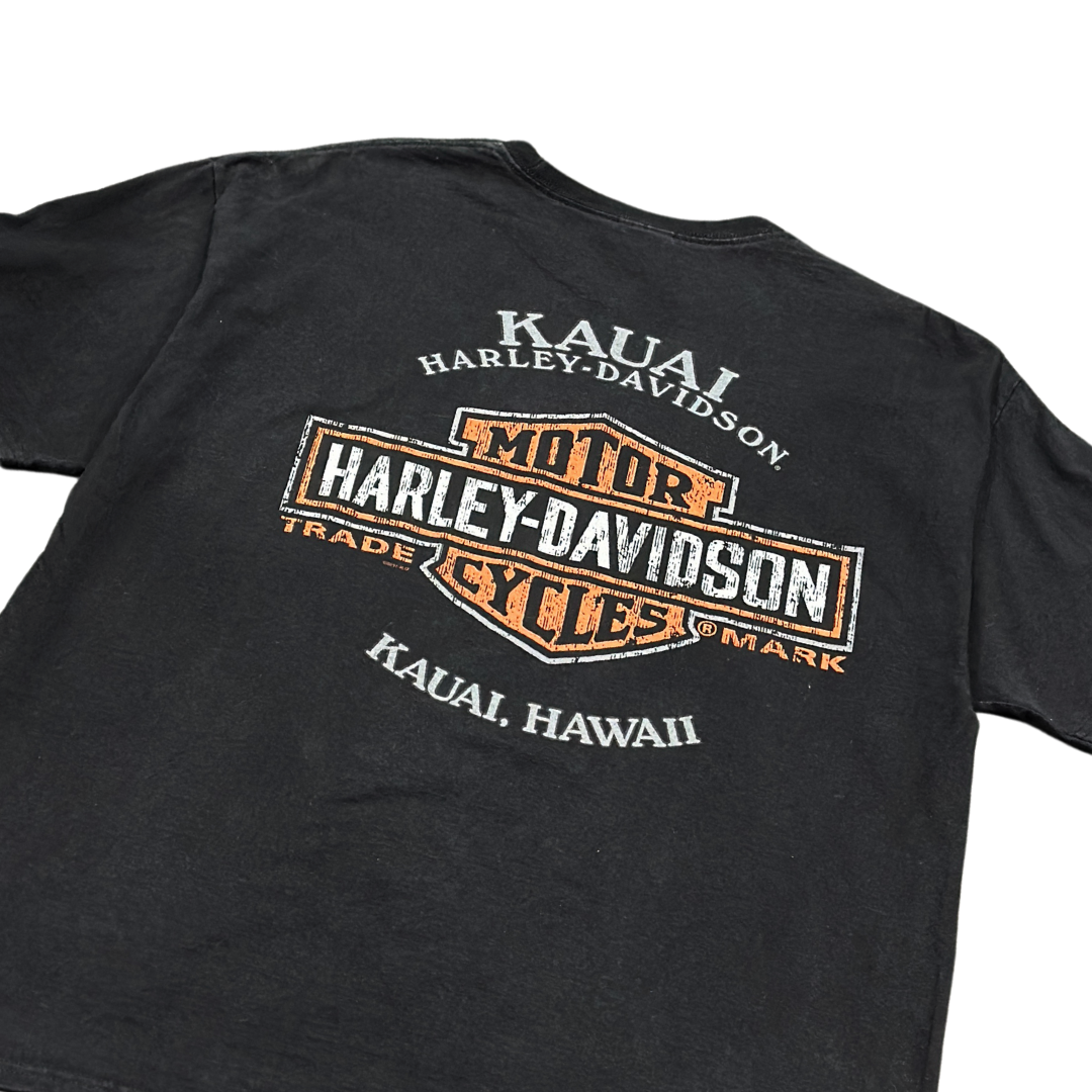 2018 Harley Davidson Hawaii